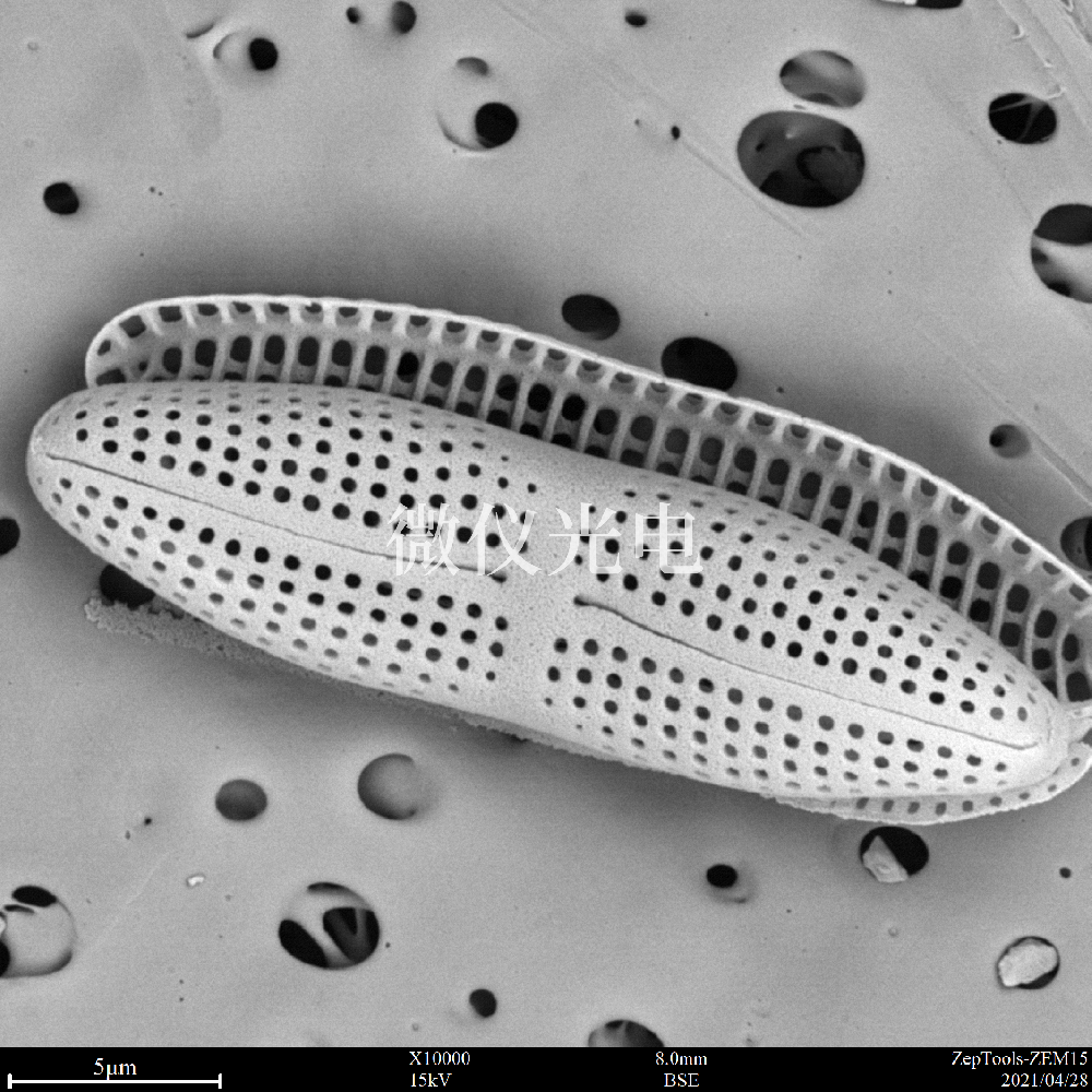 sem臺(tái)式掃描電鏡在司法鑒定行業(yè)的應(yīng)用是這樣的，你之前了解嗎？