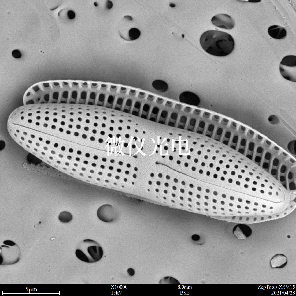 掃描電子顯微鏡的類(lèi)型有這些你之前了解過(guò)嗎？