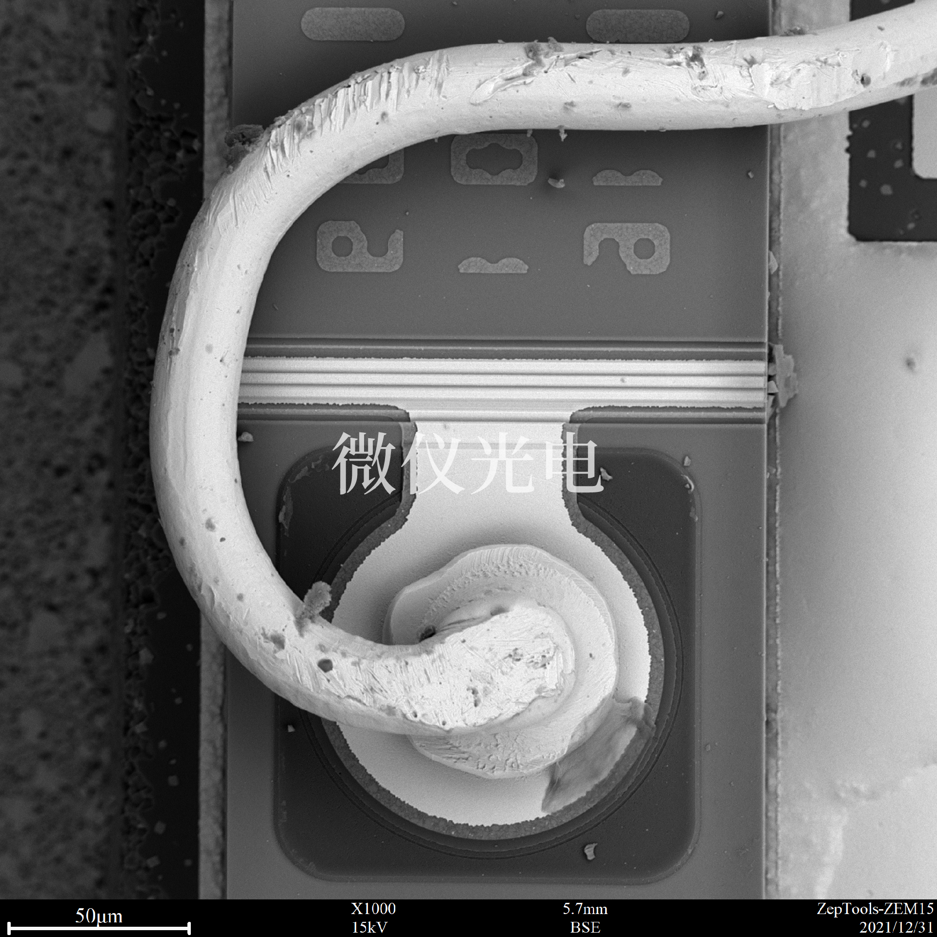 1668397625168872.png 掃描電鏡下的電子.png